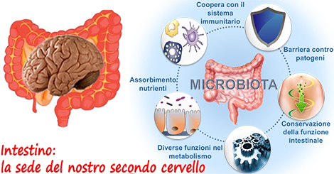 Intestino "secondo Cervello": La Stretta Relazione Tra Flora Batterica ...